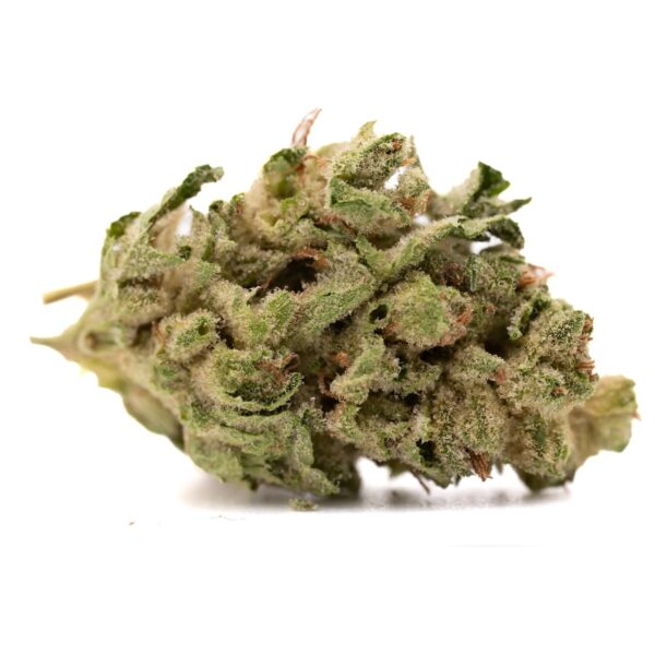 greenhouse thca flower pounds pound gary payton thca flower strain